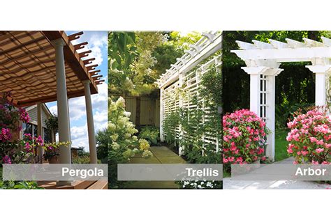 trellis meaning.